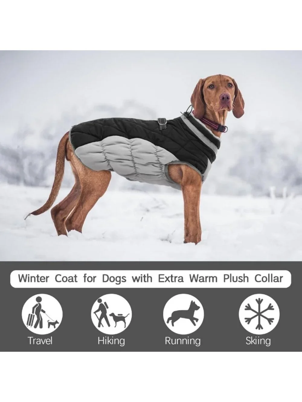 Cozy Fleece Dog Winter Jacket for Small Dogs with Harness - Warm Pet Coat